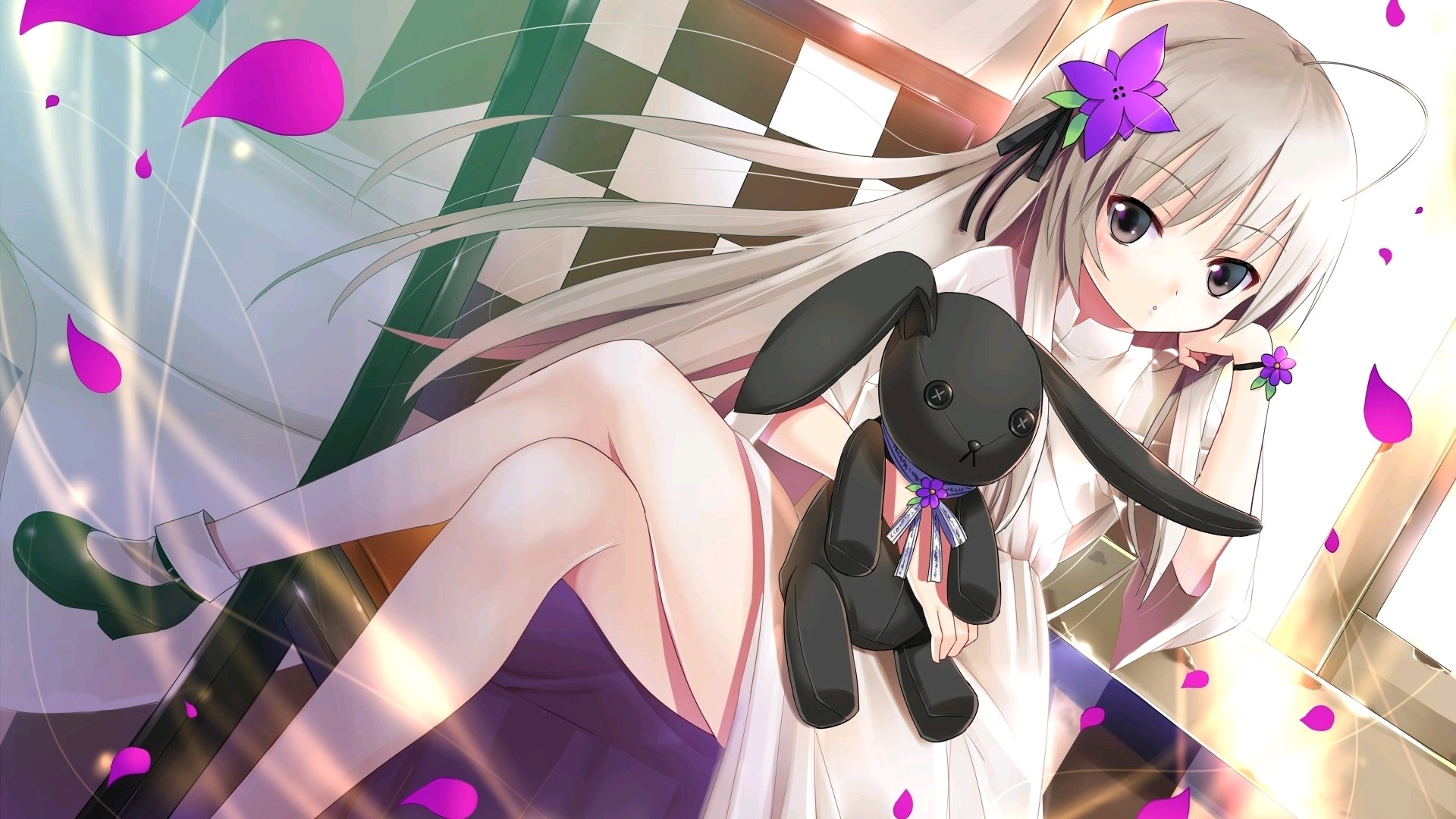 猫先生打工记